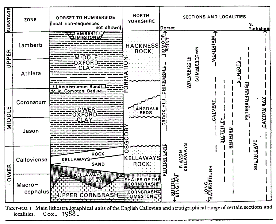 English Callovian