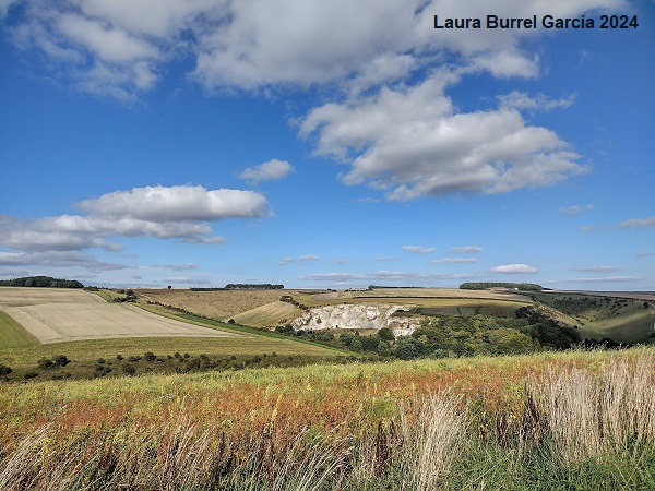 Yorkshire Chalk Wolds