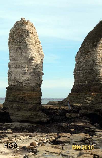 stack in Selwick's Bay