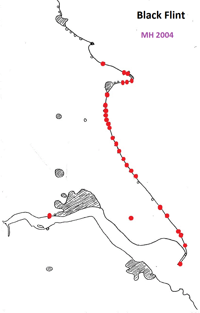 Black Flint erratics