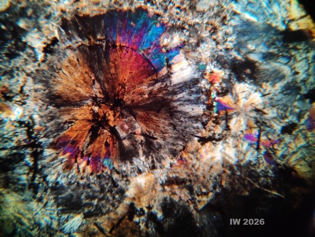 Scandinavian erratic thin section