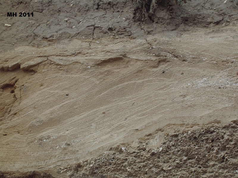 cross bedded sands at Sewerby