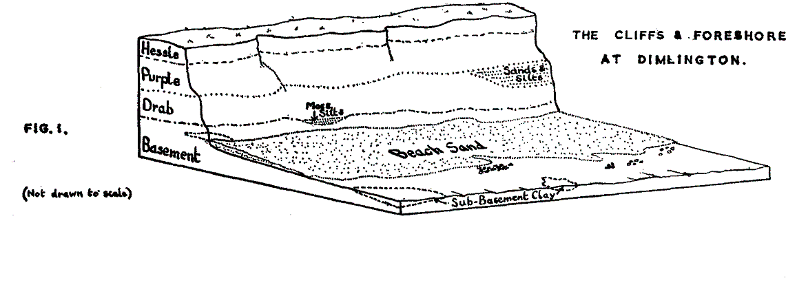 geology at Dimlington