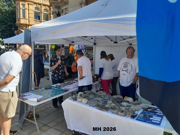 DinoDay 2026