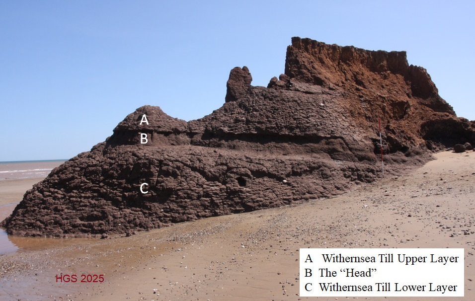 "head" study site