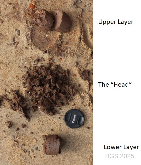 "head" samples