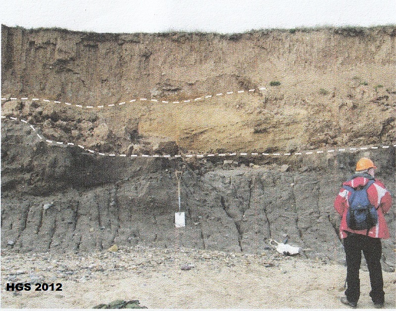 Well jointed Skipsea Till