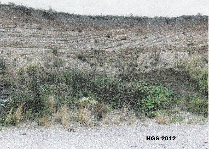 Rhythmites and sands at Barmston