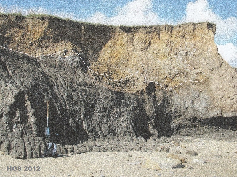 Well jointed Skipsea Till