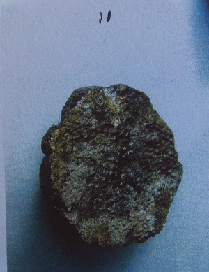 pyrite nodule containing a fossil sponge