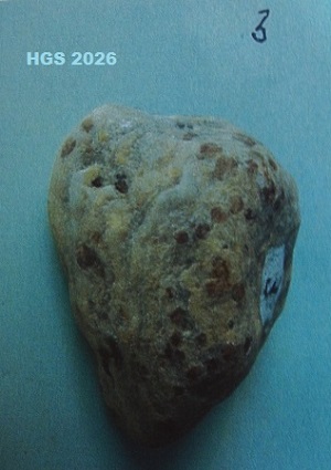 Garnet schist